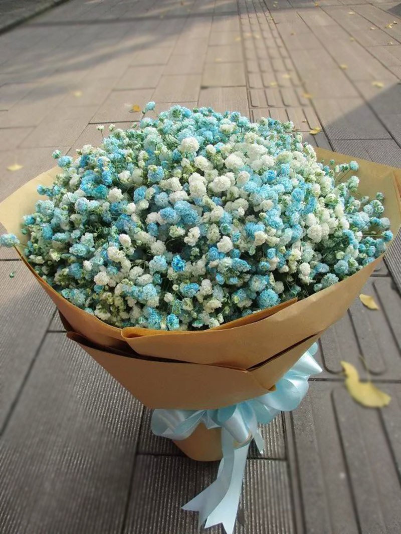 武汉满天星鲜花